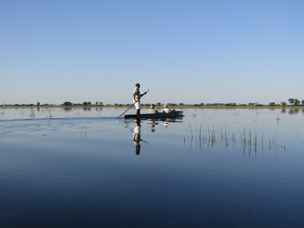 delta de l'okavango