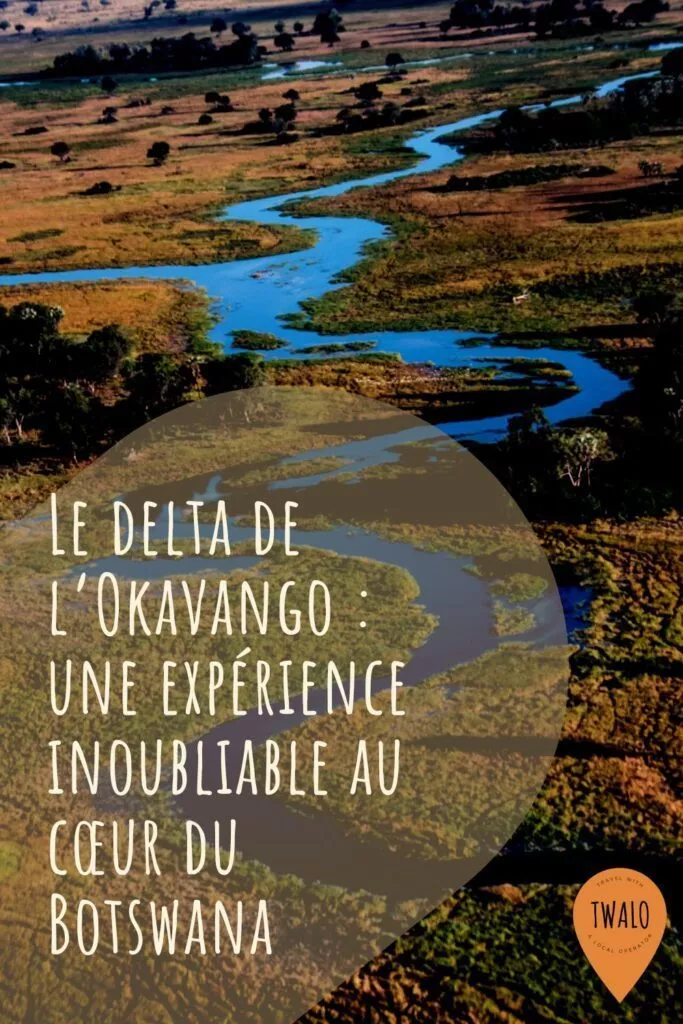 Le delta de l’Okavango : une expérience inoubliable au cœur du Botswana