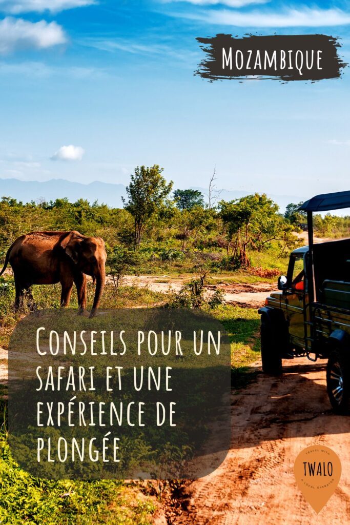 Conseils pour un safari et une expérience de plongée au Mozambique
