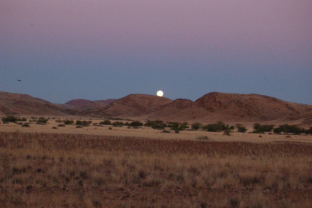 Damaraland Namibie
