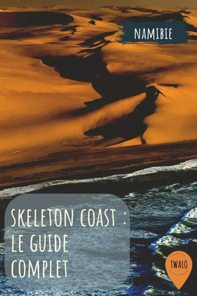 La Skeleton Coast : un paysage désertique parsemé d'épaves mystérieuses et de squelettes étonnants.