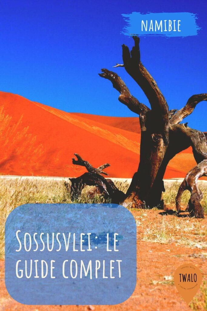 Dune de sable rougeoyante à Sossusvlei, Namibie : la beauté saisissante du désert namibien capturée en une image.