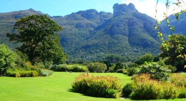 jardin de kirstenbosch
