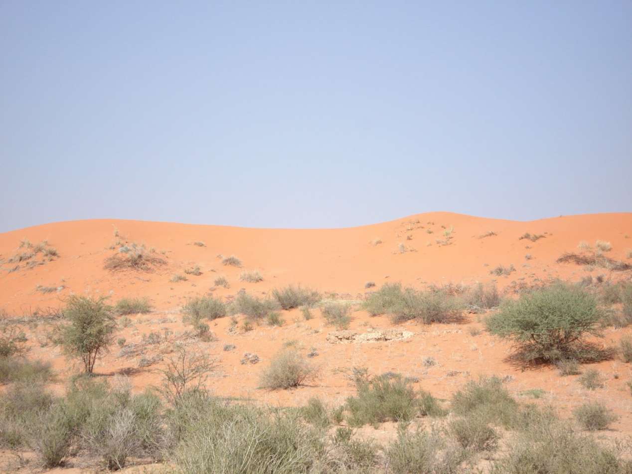 desert de kalahari
