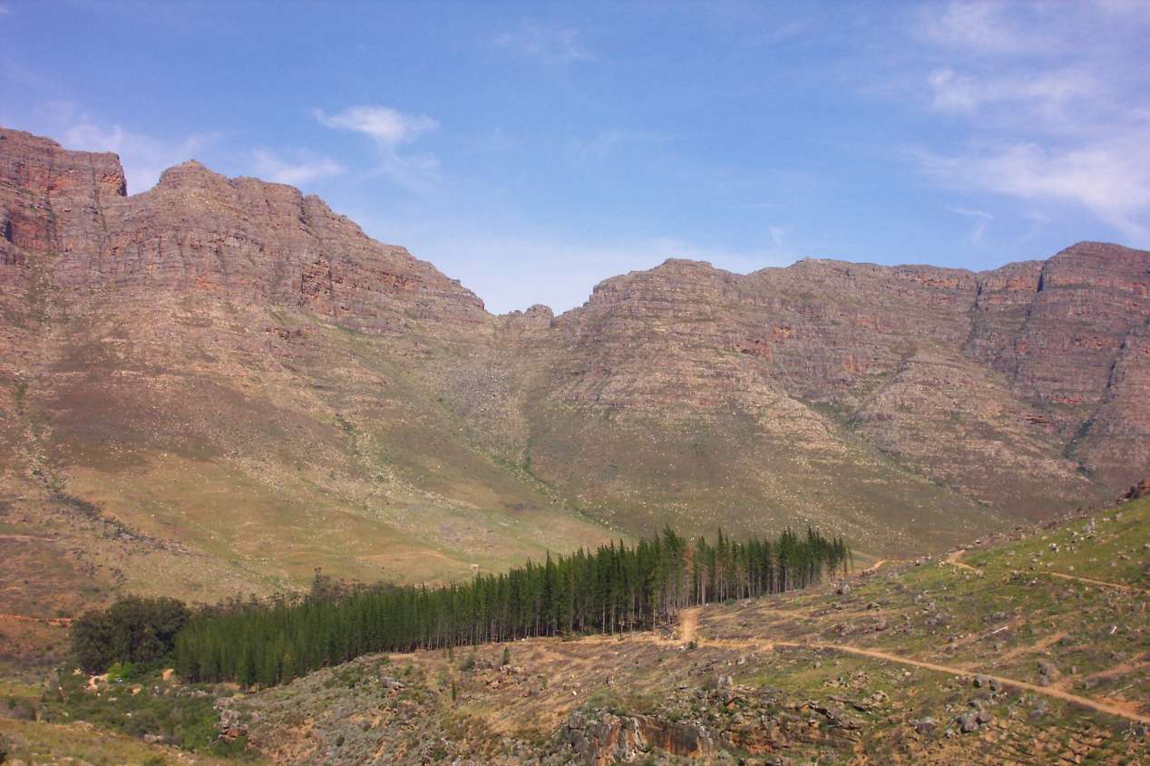 cederberg en Afrique du Sud