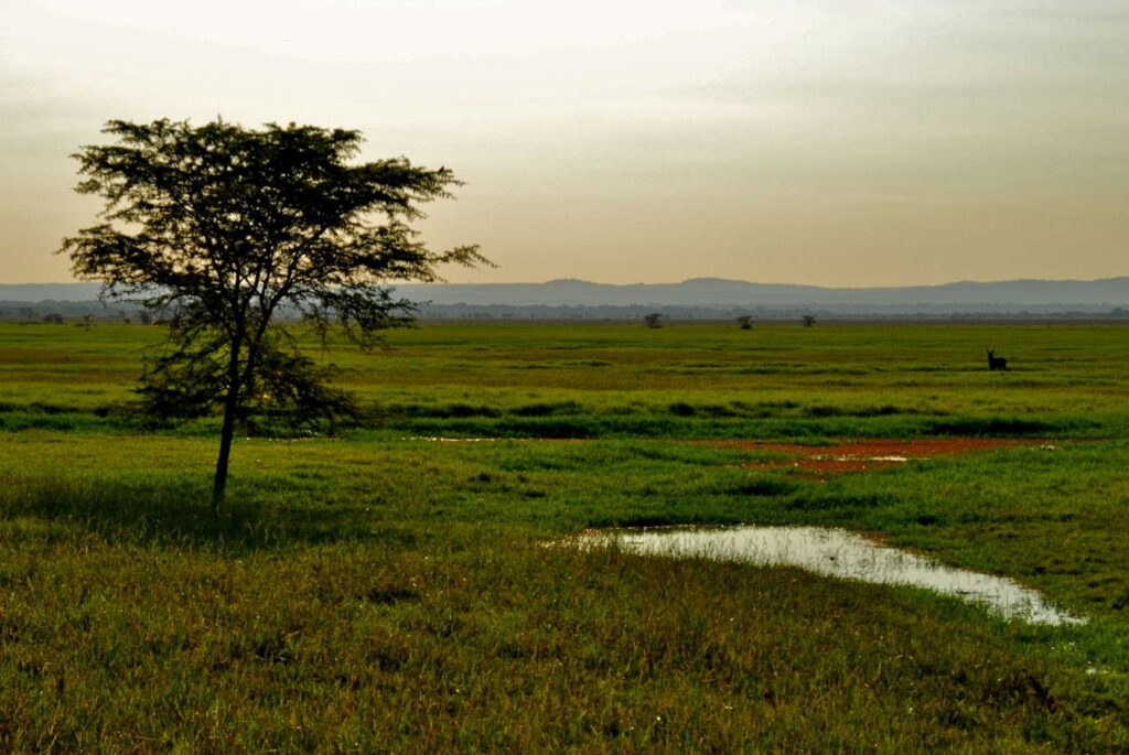 Gorongosa Mozambique