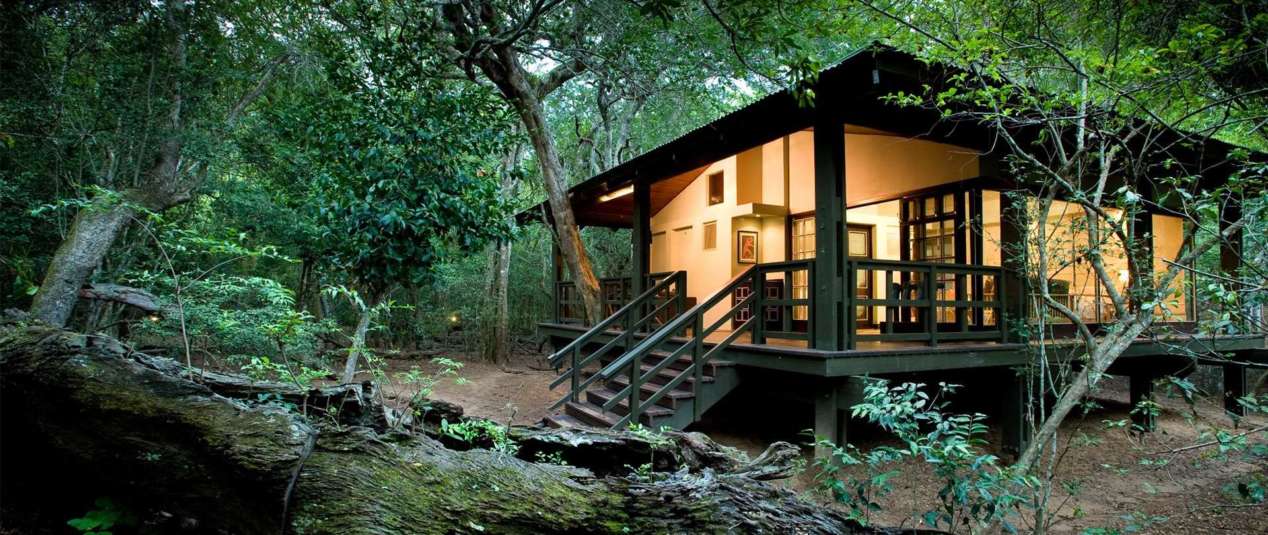 Phinda Forest Lodge