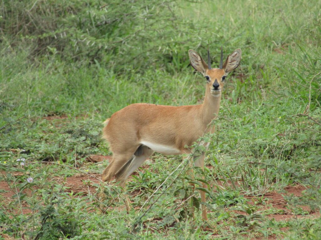namibie en septembre
