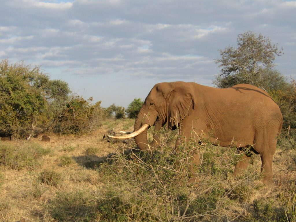 namibie en avril