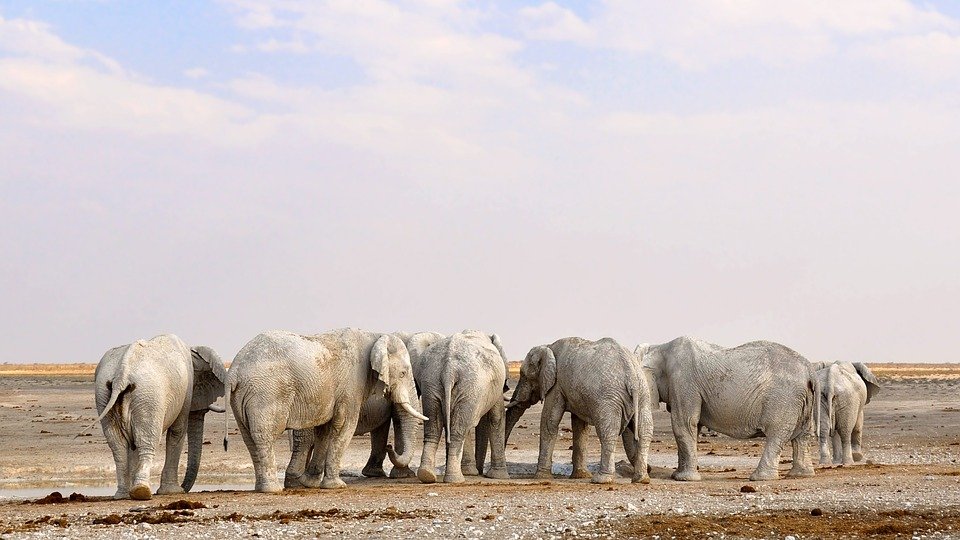 namibie en janvier