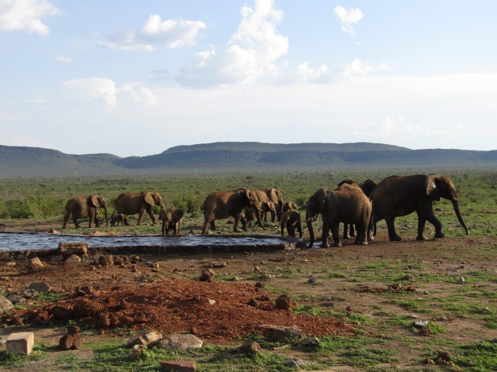 safari prive afrique du sud