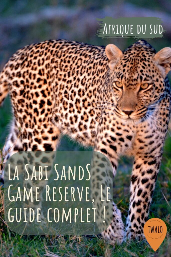La Sabi SandS Game Reserve, une merveille à l’ombre du Kruger
