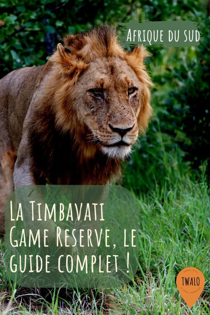 La Timbavati Game Reserve, joyau de la conservation animalière

