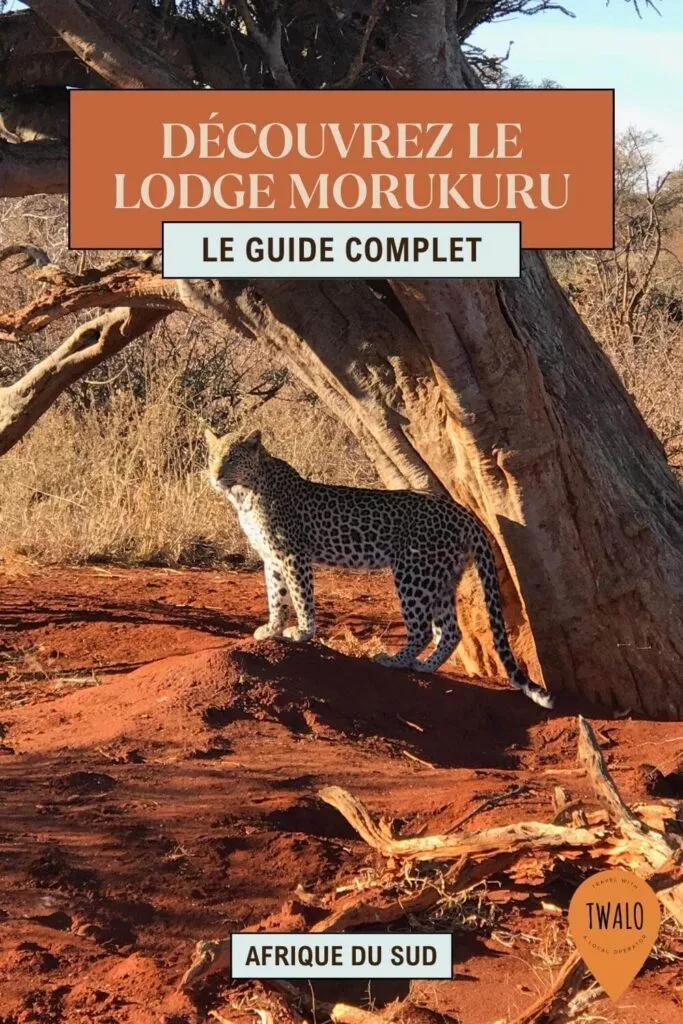 Le Lodge Morukuru: où loger dans la réserve de Madikwe?