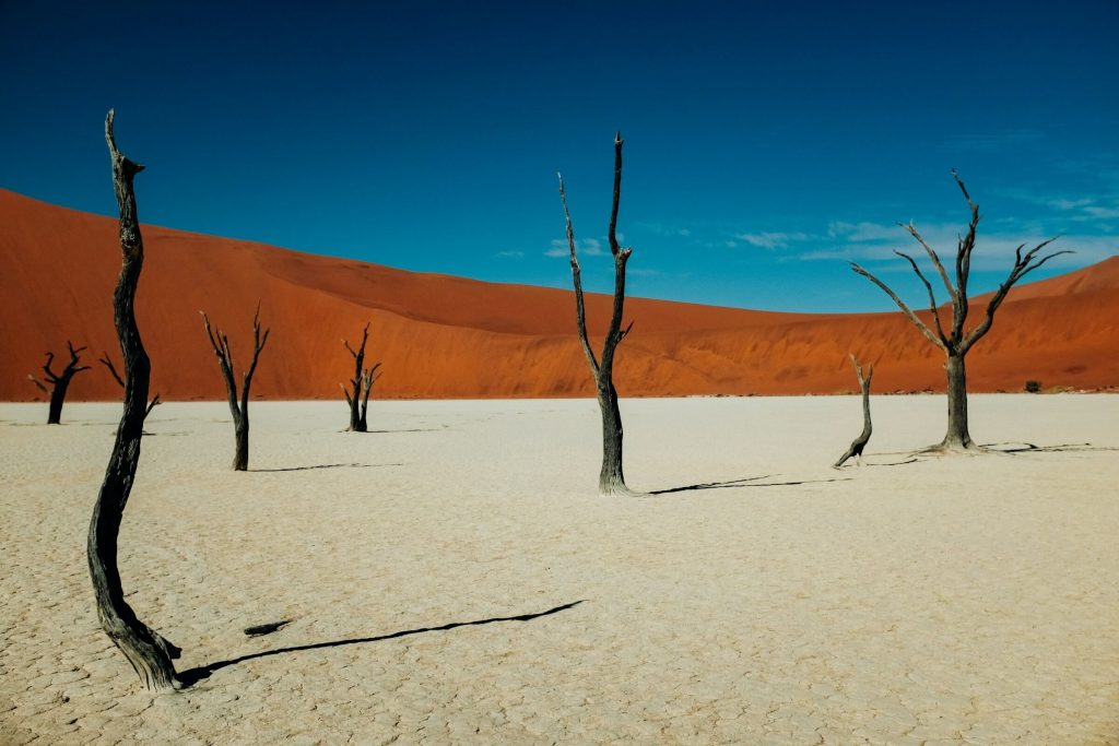 namibie en mai