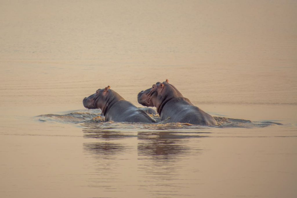 Mozambique en février