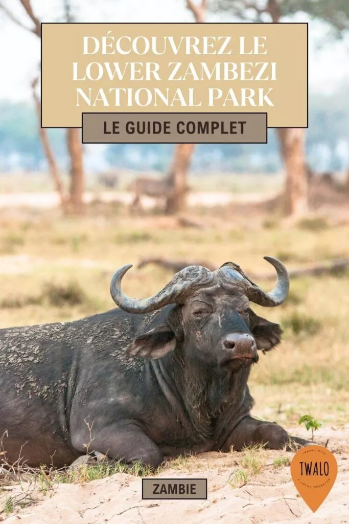 Découvrez le Lower Zambezi National Park en Zambie: le guide complet.