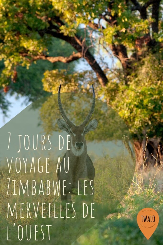 7 jours de voyage au Zimbabwe: les merveilles de l’ouest
