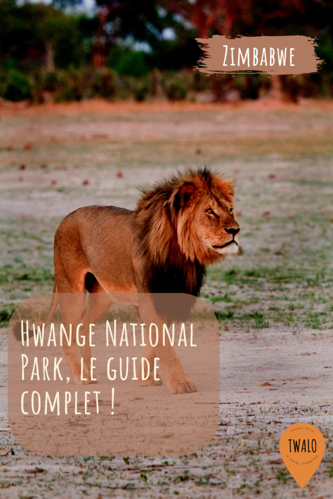Hwange National Park, le plus grand sanctuaire naturel du Zimbabwe
